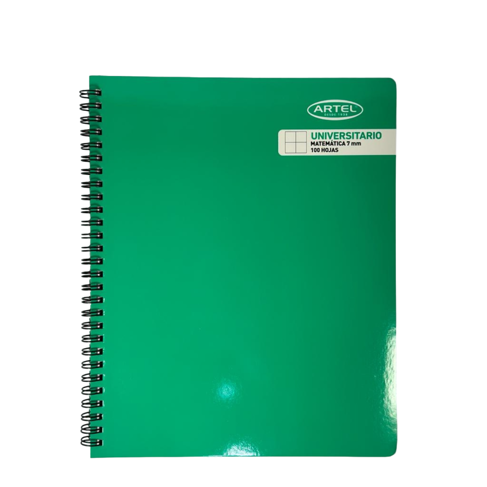 CUADERNO UNIVERSITARIO-ARTEL
