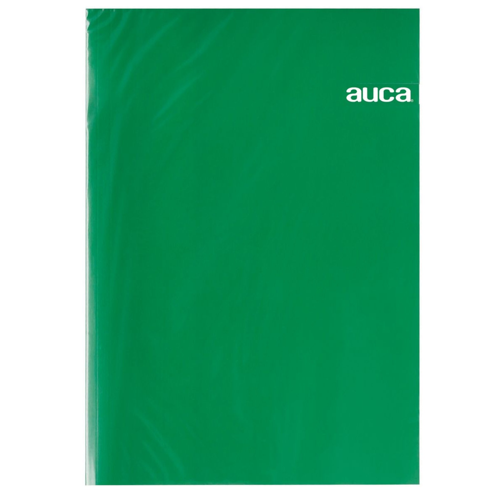 CARPETA PLASTIFICADA VERDE AUCA