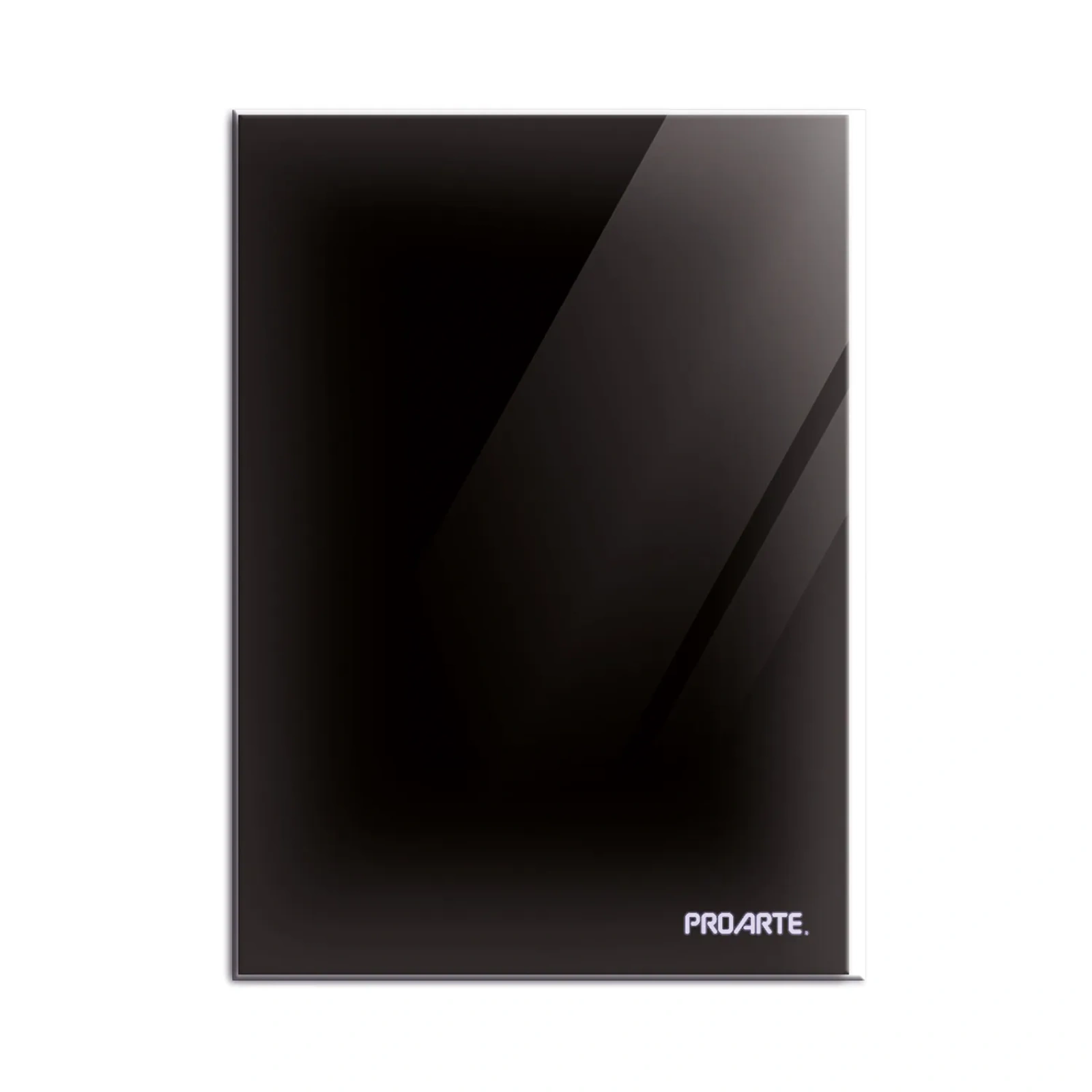 CARPETA PROARTE CON GUSANO OFICIO NEGRO